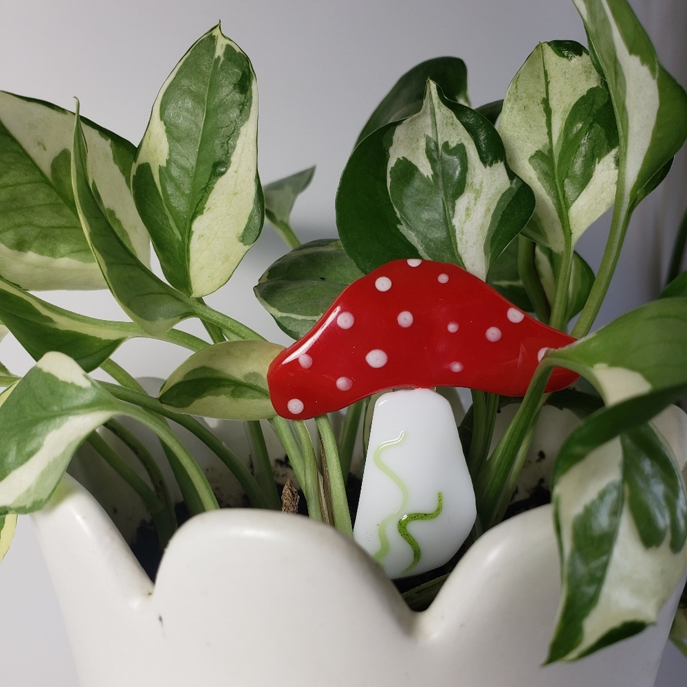 Houseplant Buddy - Mushroom